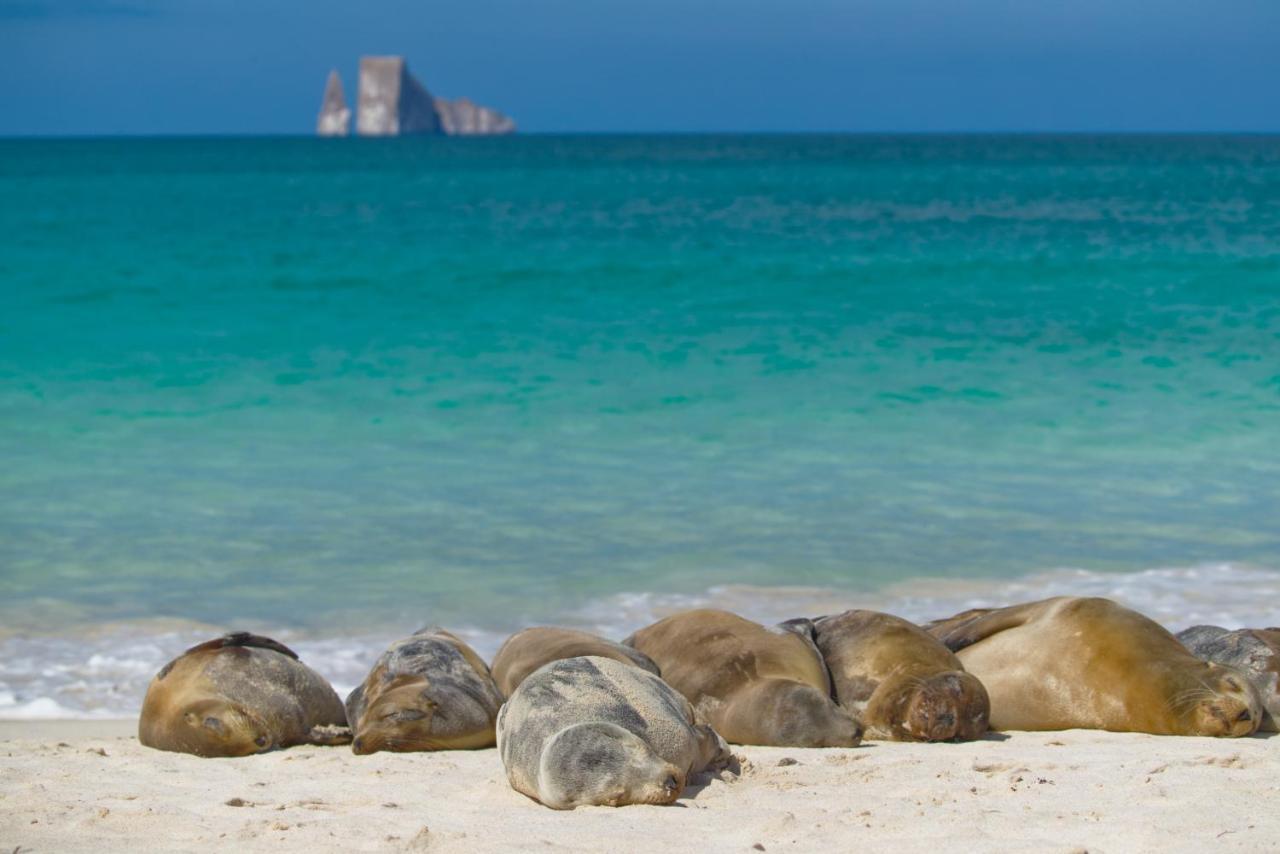 Suite Cielo, Discover The Magic Of Galapagos Пуерто Бакерисо Морено Екстериор снимка